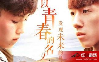 变形计网红2017,蜕变之路与网络影响力